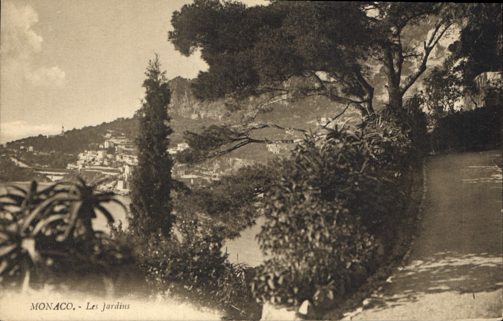 CPA Monaco Les Jardins 