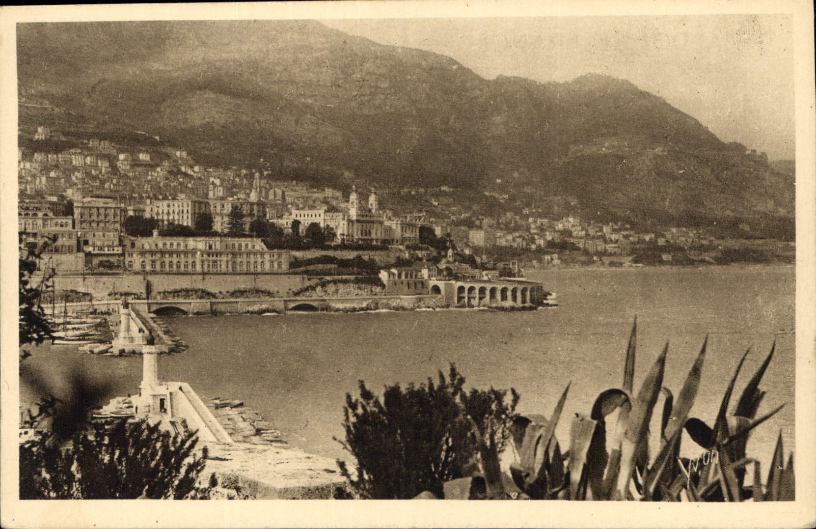 CPA Cote D'Azur Monte Carlo Principaute de Monaco L'Entree du Port 