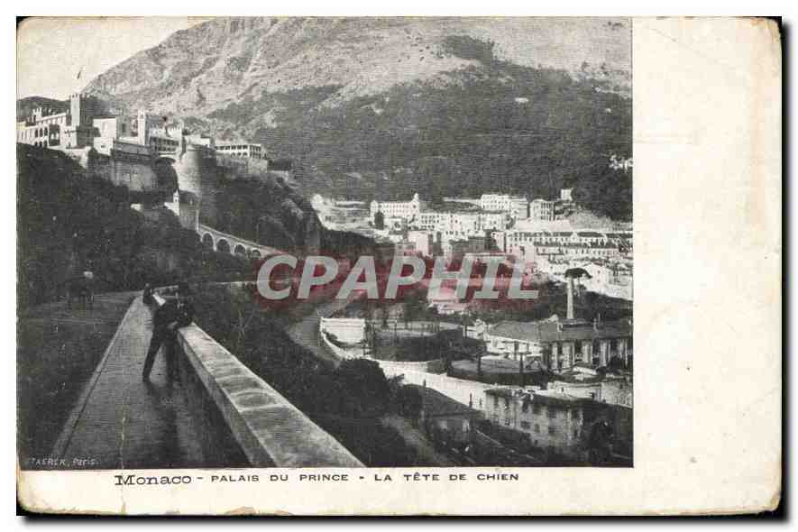 CPA Monaco Palais du pince la tete de chien 