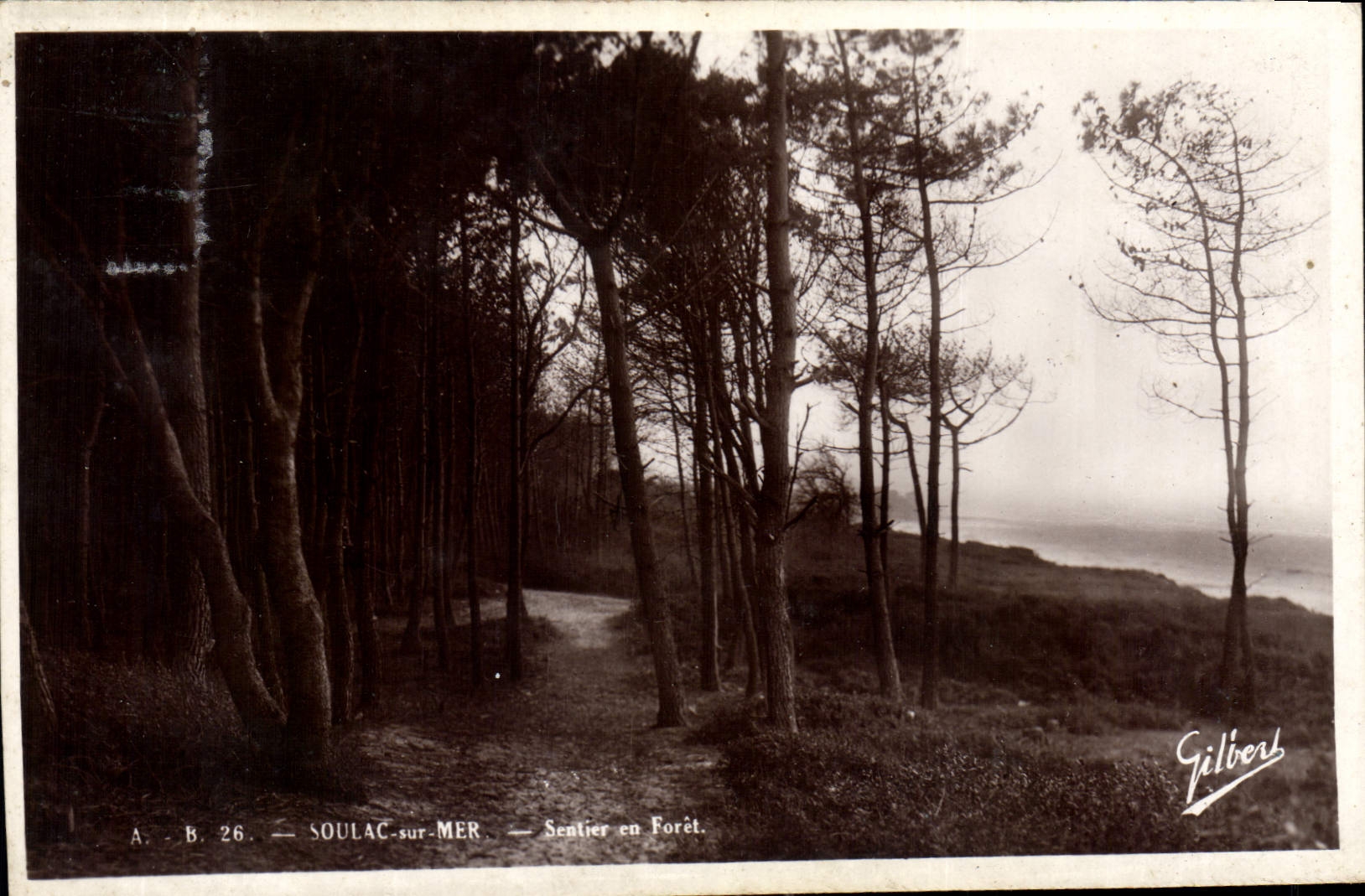 Soulac-sur-Mer — Sentier en Forêt — Gilber
