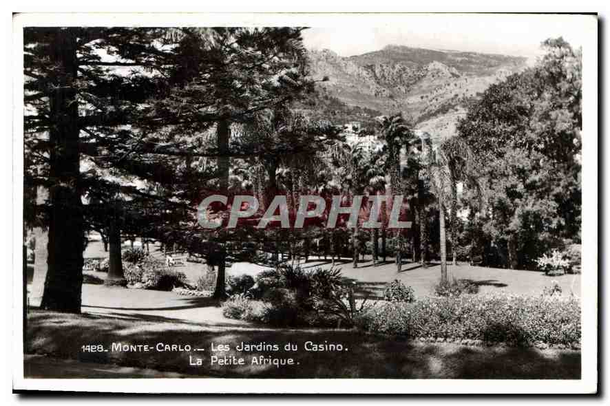 CPA Monte Carlo Les Jardins du Casino La Petite Afrique 