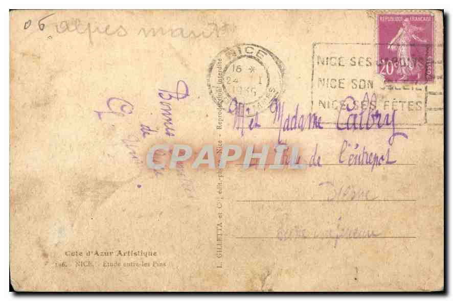 CPA Cote d'Azur Artistique Nice Etude entre les Pins  — Rückseite
