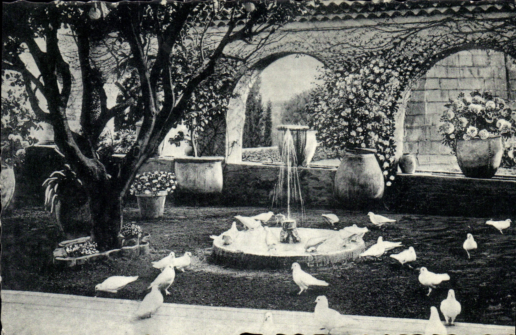 Jardin Provençal — La Colombe d'Or — Collection Baux, St-Paul-de-Vence