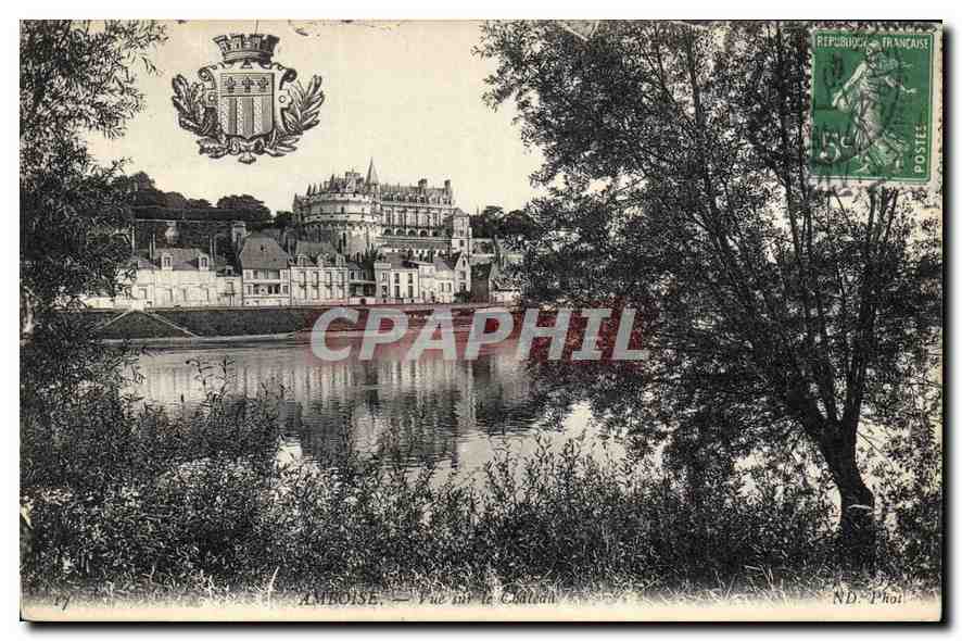 CPA Amboise Vue sur le Chateau 