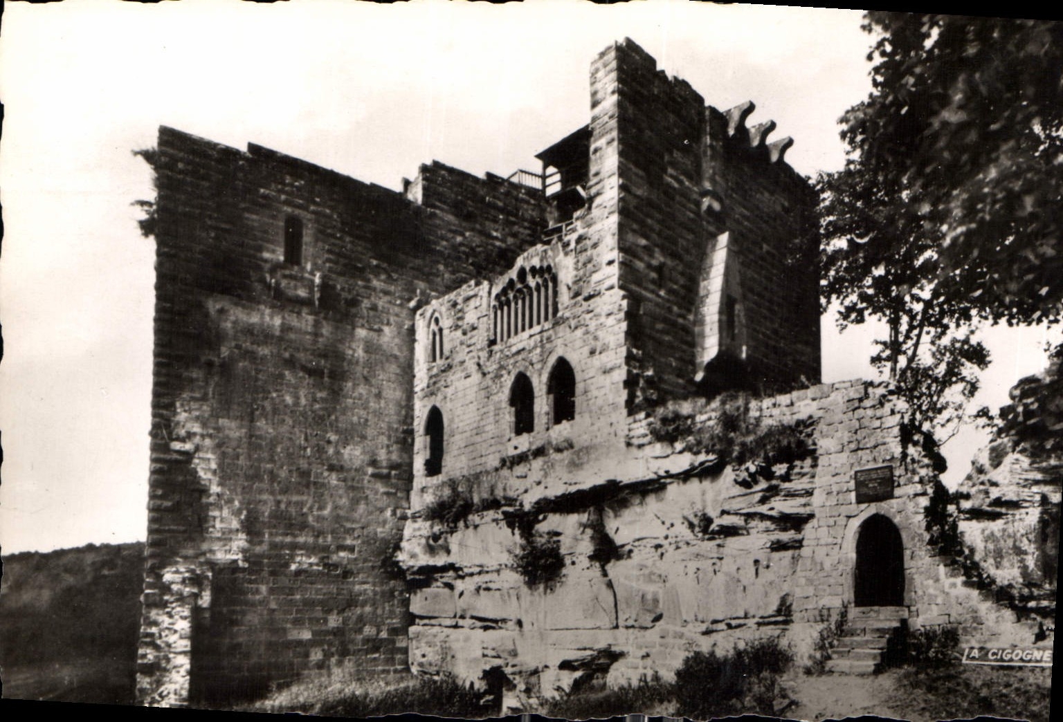 CPA Niederbronn Les Bains Bos Rhin 