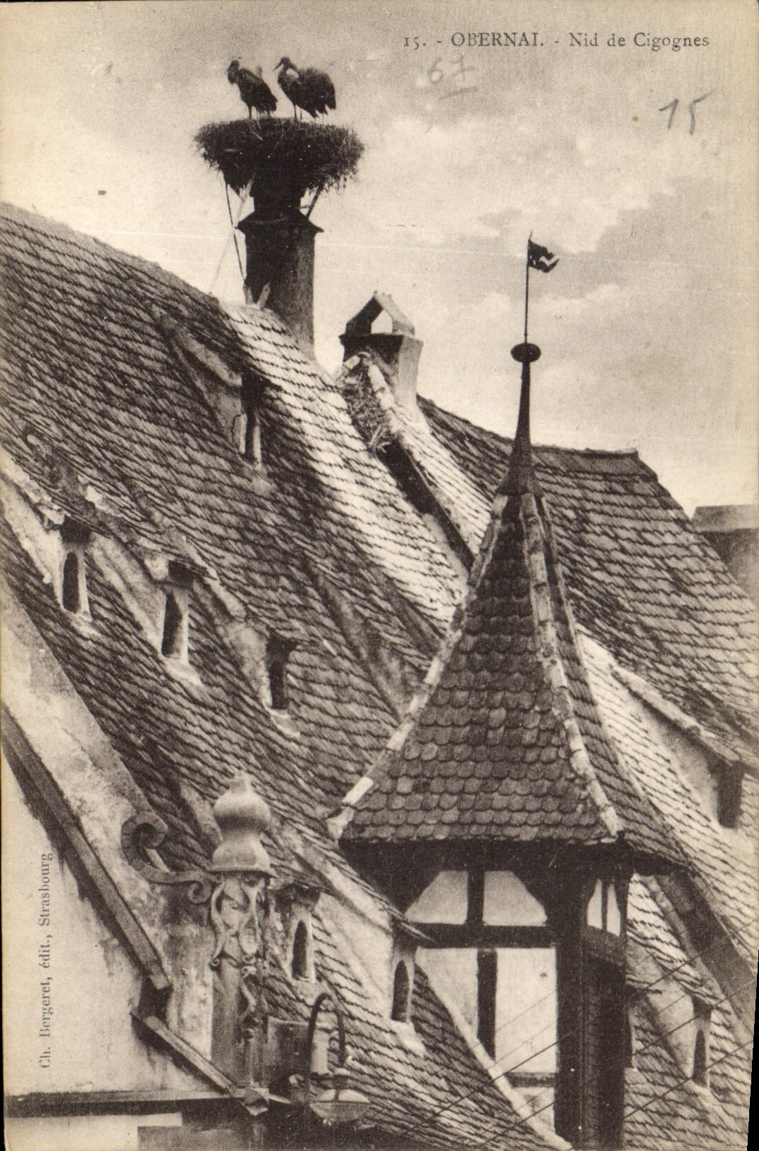 CPA Obernai nid de Cigognes 