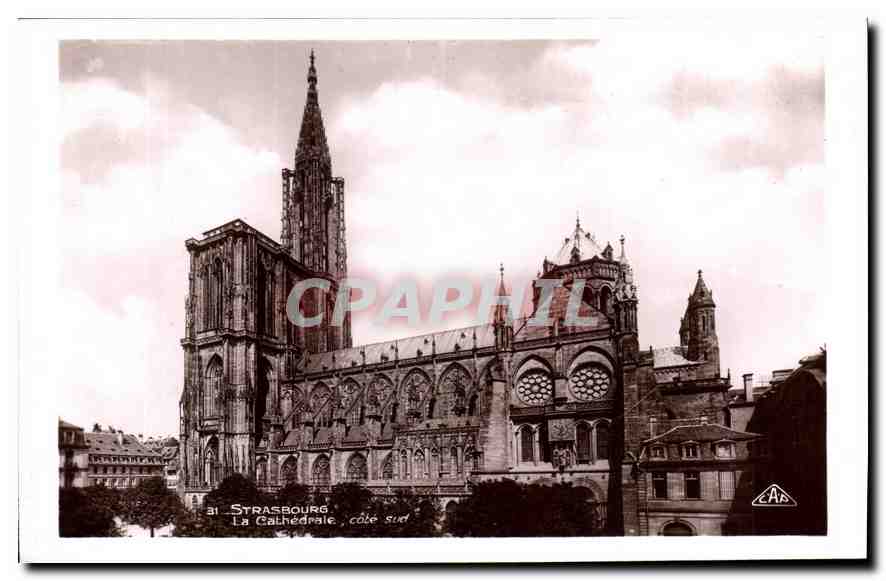CPA Strasbourg la Cathedrale Cote Sud 