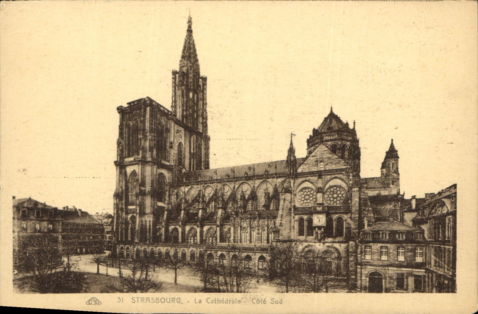 CPA Strasbourg La Cathedrale Cote Sud 