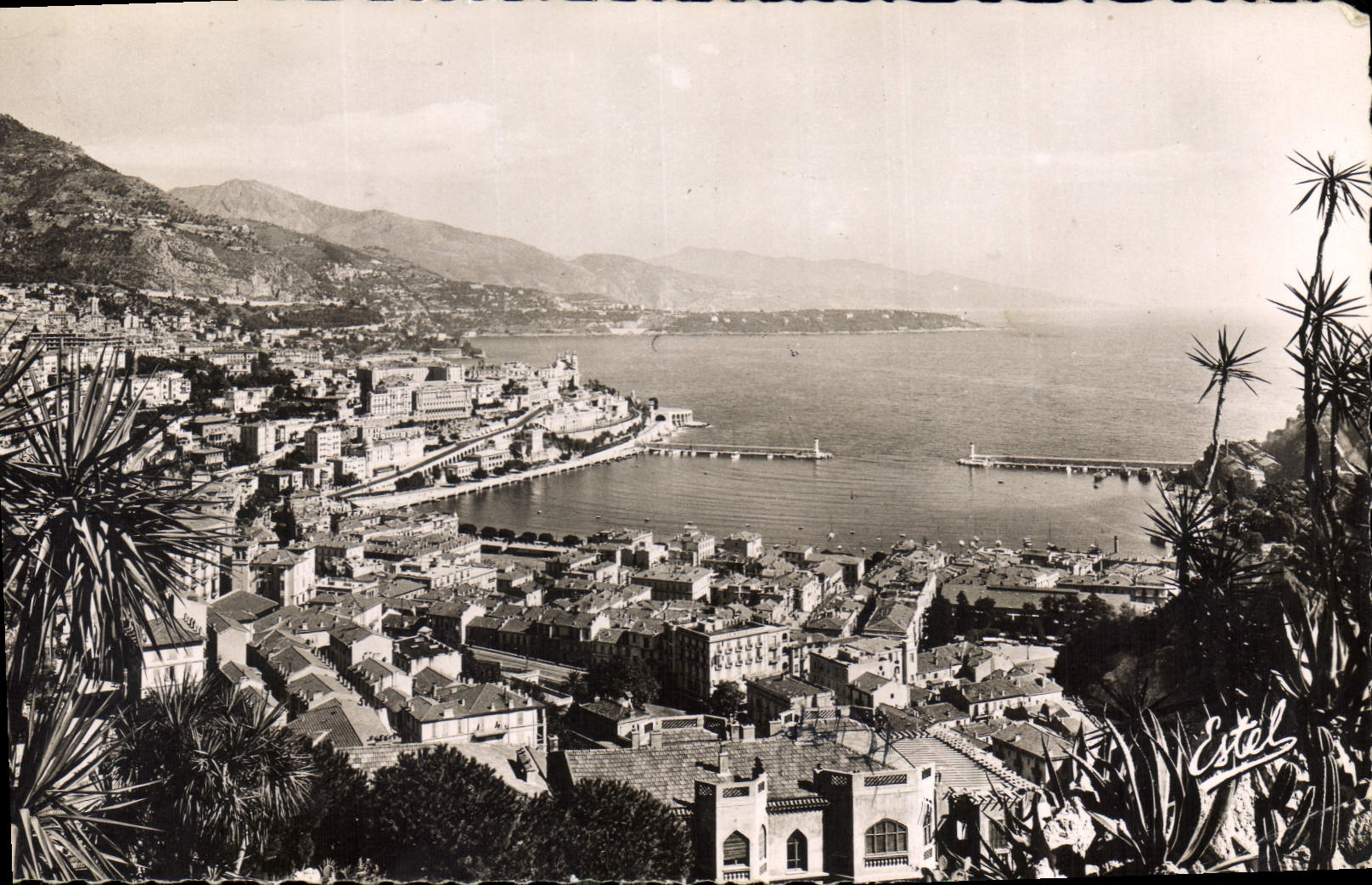 Vue générale du Jardin Exotique de Monaco — Condamine — Estel