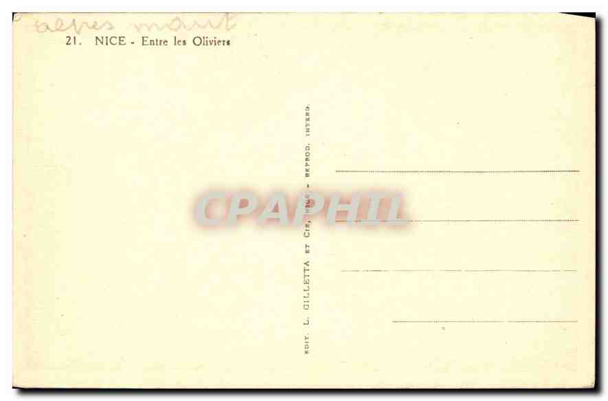 CPA Nice Entre les Oliviers  — Rückseite
