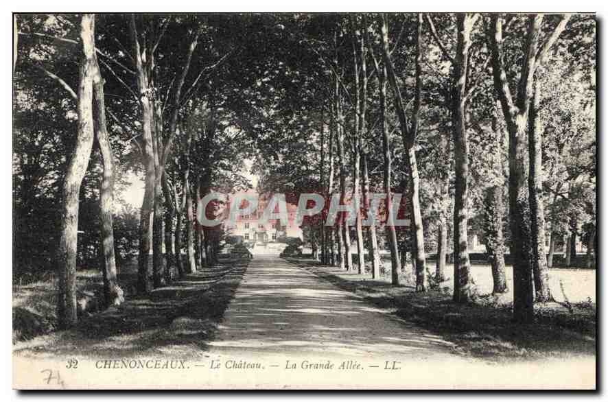 CPA Chenonceaux le Chateau Le Grand Allee 