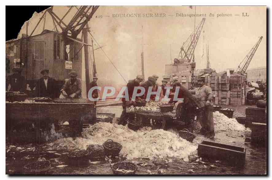 Boulogne-sur-Mer — Débarquement du poisson — LL, n° 439