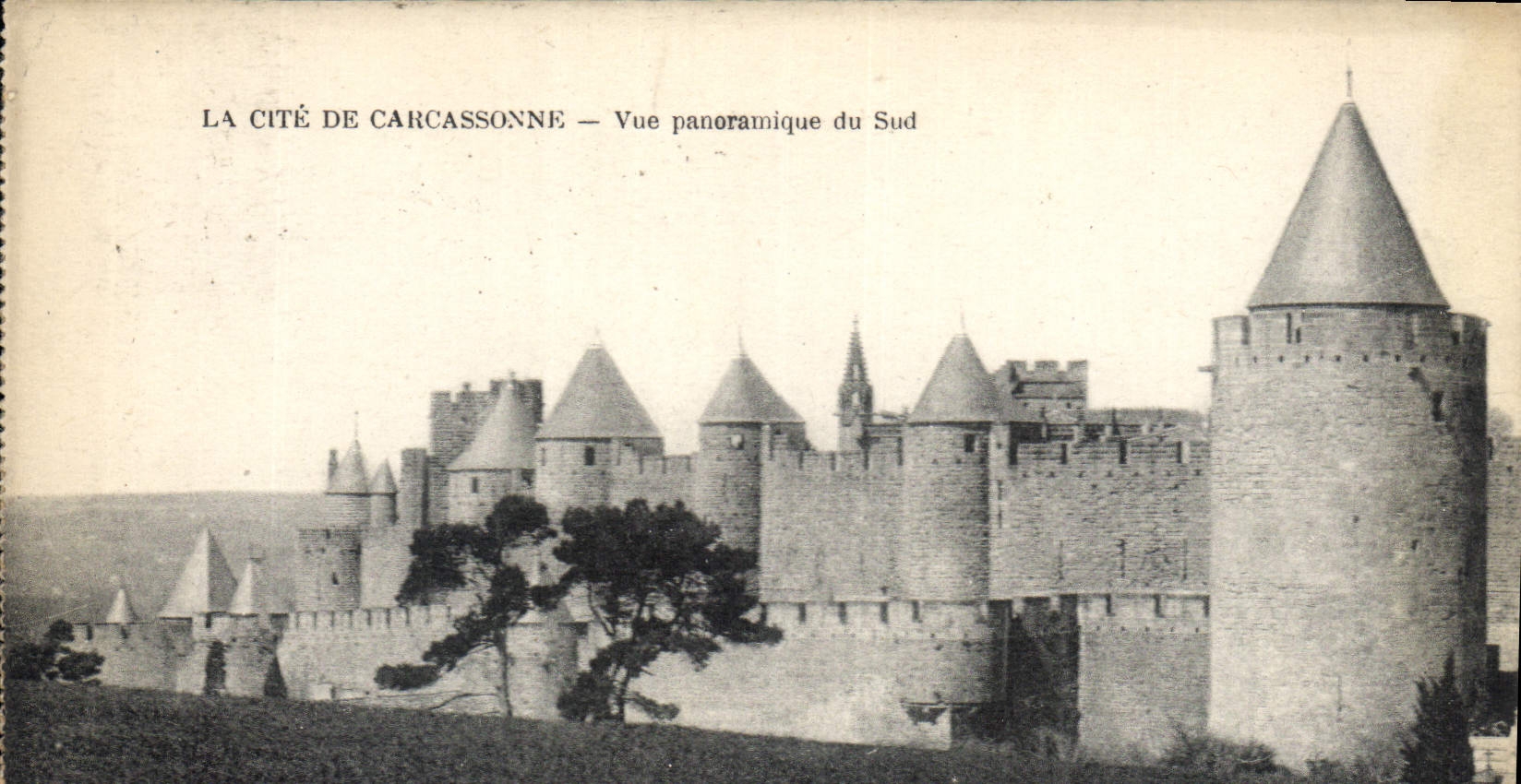CPA La Cite Carcassone Vue Panoramique du Sud 