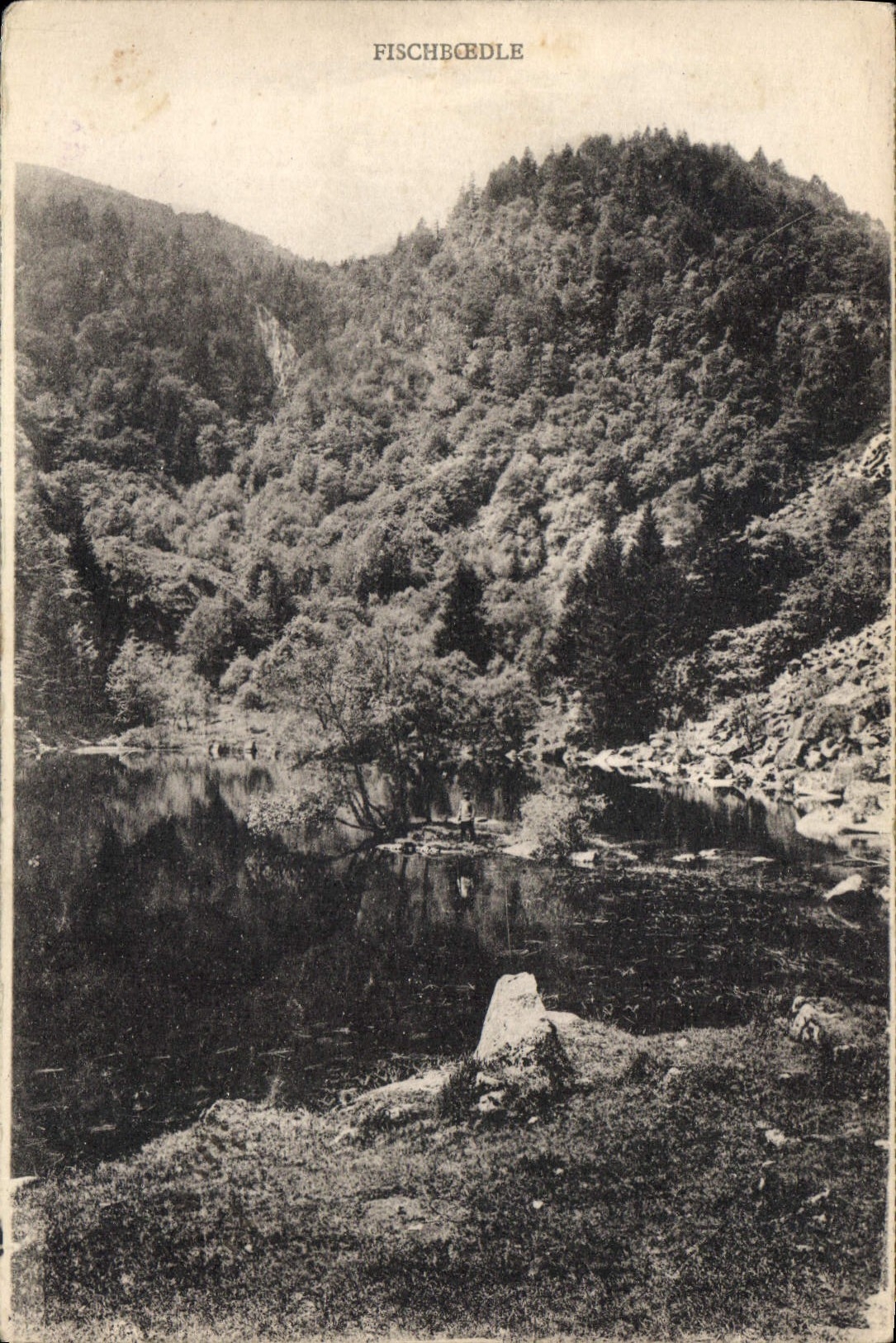 CPA Fischbcedle 