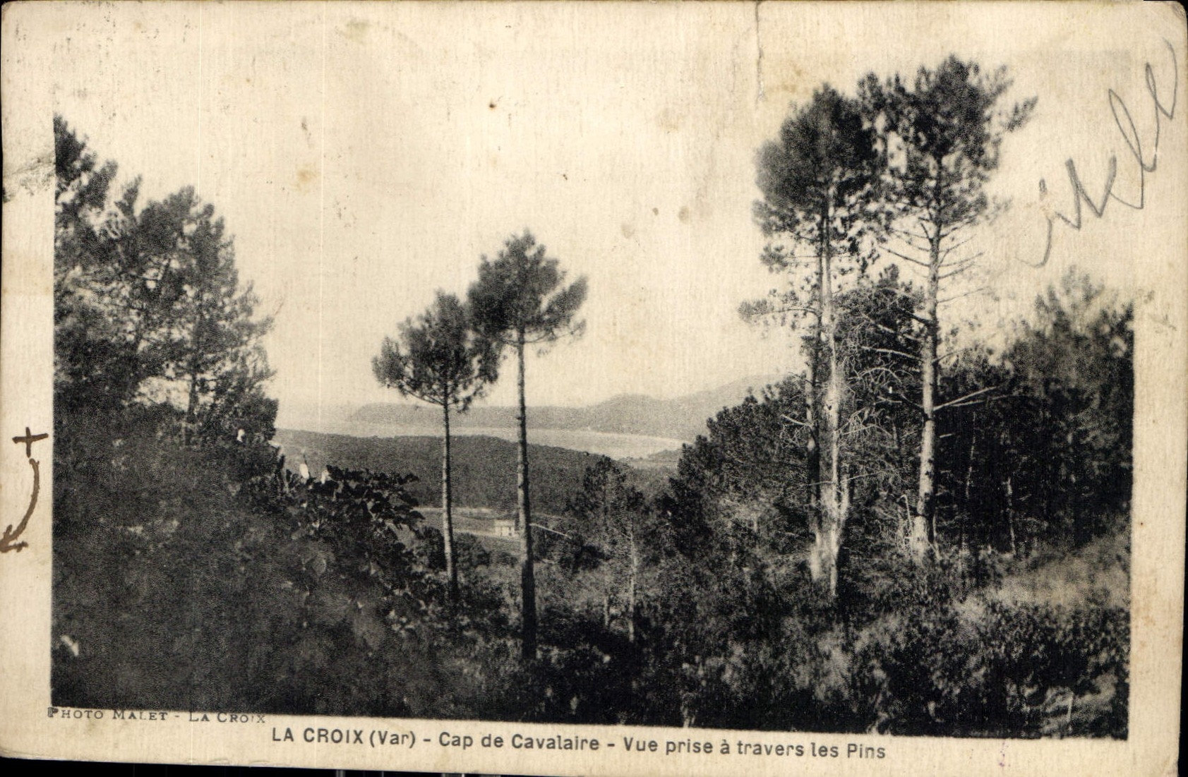 CPA La Croix Var Cap de Cavalaire vue prise a travers les Pins 