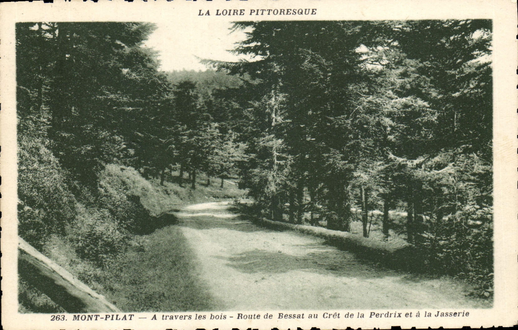 CPA La Loire Pittoresque Mont Pilat a travers les bois Route de Bessat au Cret de la Perdrix et la J