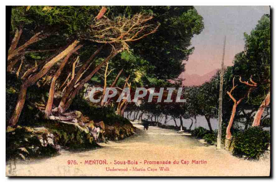 Menton - Sous-Bois - Promenade du Cap Martin — CPAPHIL n°976
