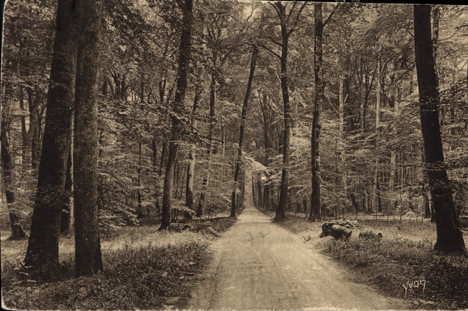 Bosque de Fontainebleau — Carretera de Barbizon — Ediciones de Arte YVÉN