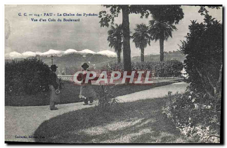 CPA Pau la Chaine des Pyrenees vue d'un Coin du Boulevard 