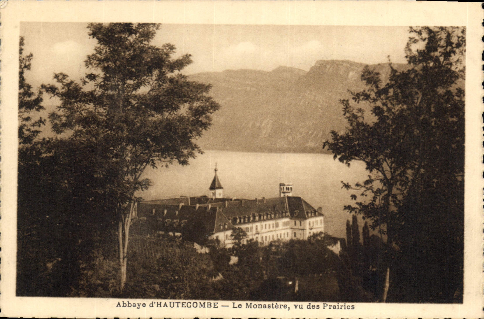 CPA Abbaye d'Hautecombe le Monastere vu des Prairies 