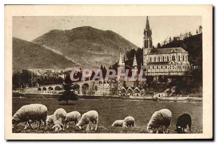 CPA Lourdes La Basilique et le Pic du Jer 