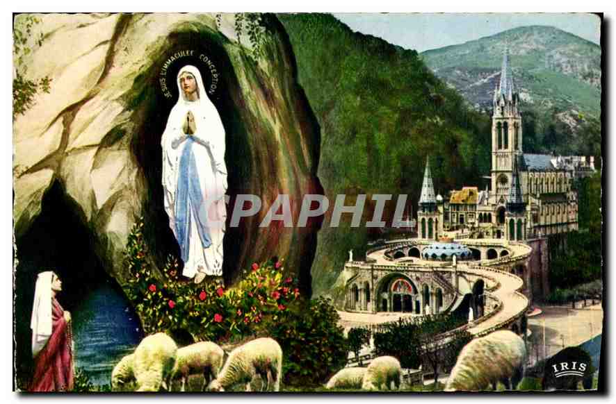 CPA Lourdes La Basilique et l'Apparition 
