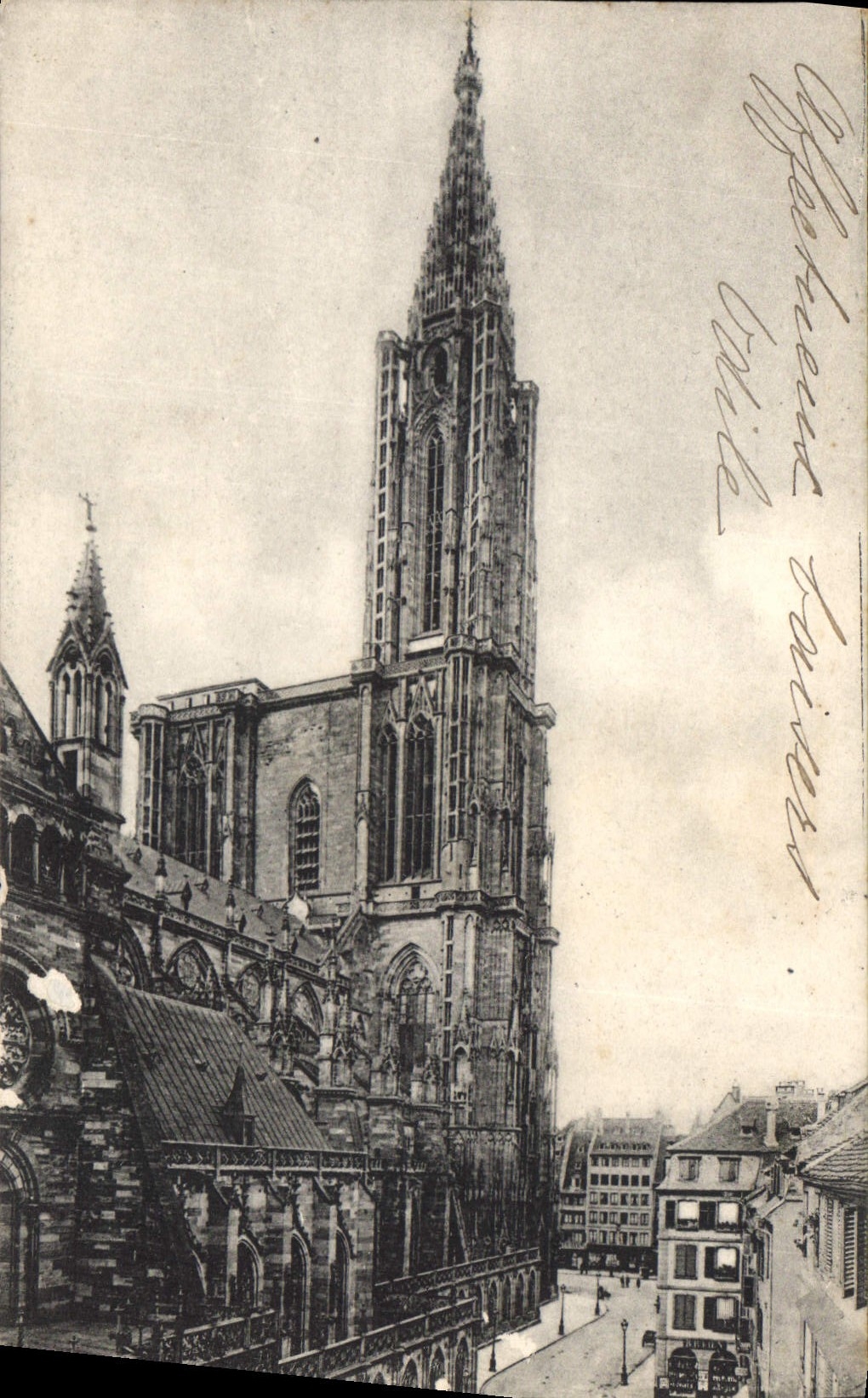 CPA Strasbourg La Cathedrale Cote Nord 