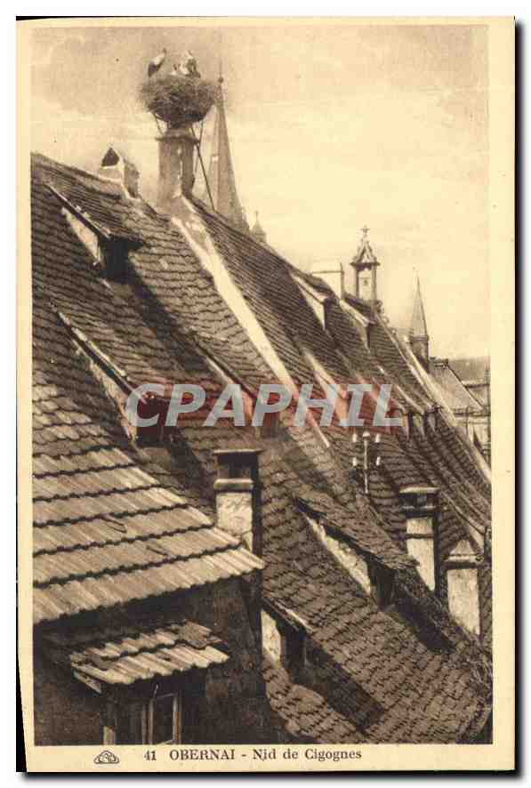 CPA Obernai Nid de Cigognes 