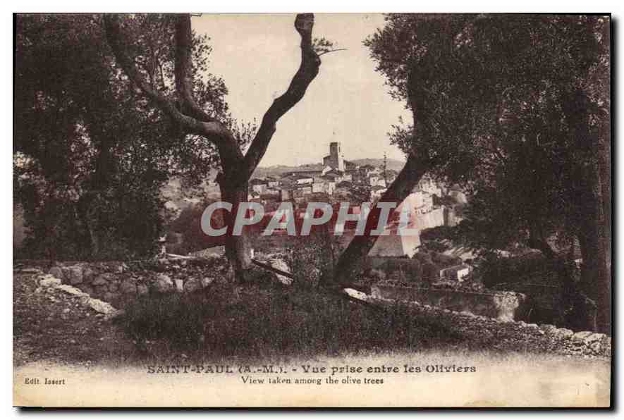 CPA Saint Paul A M vue prise entre les Oliviers 