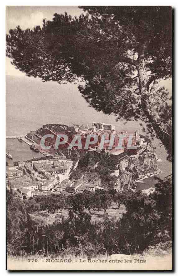 CPA Monaco le Rocher entre les Pins 
