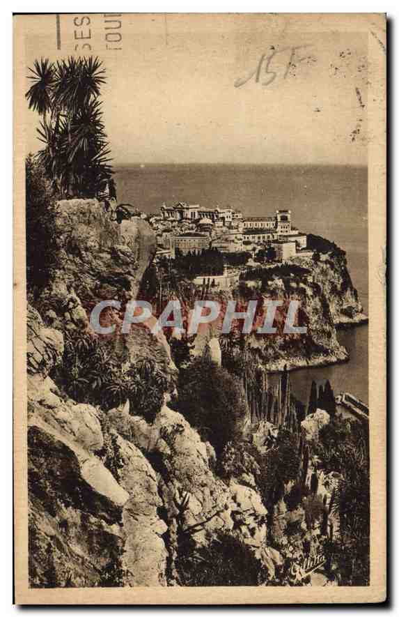 CPA Cote d'Azur Artistique Monaco vue prise du jardin exotique 