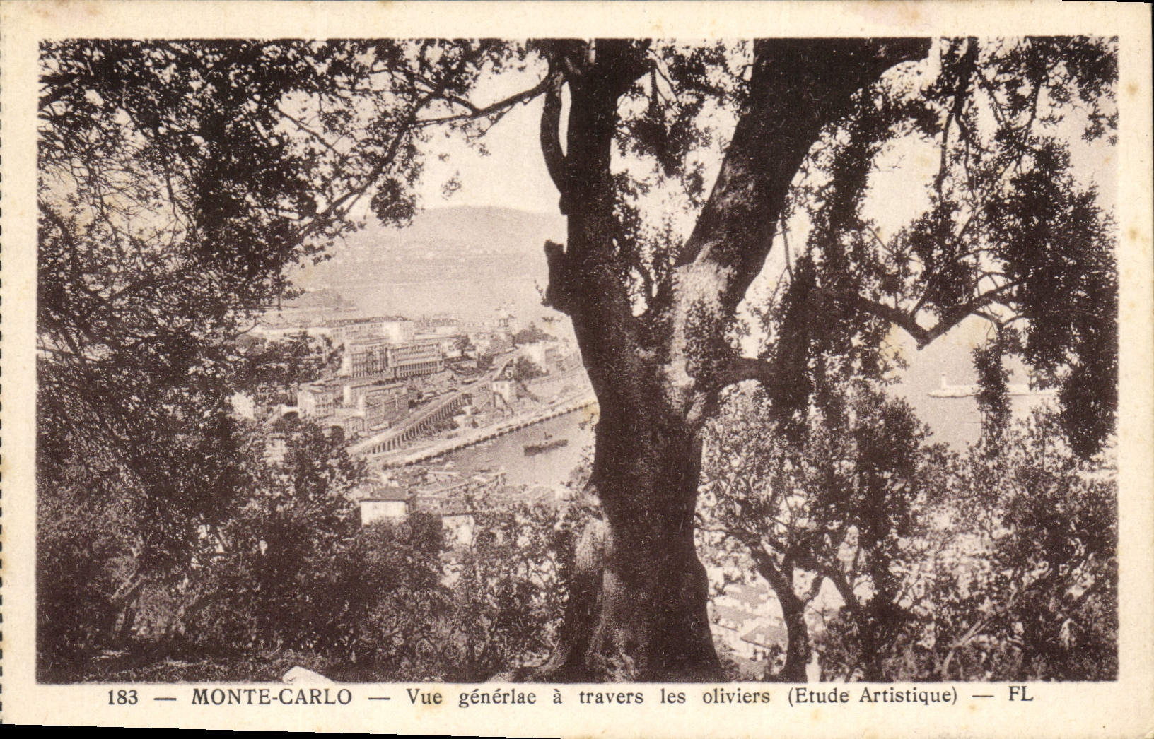 Monte-Carlo — Vue générale à travers les oliviers (Etude Artistique) — FL