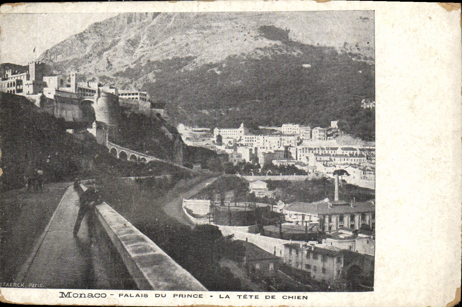 CPA Monaco palais du prince la tete de chien 