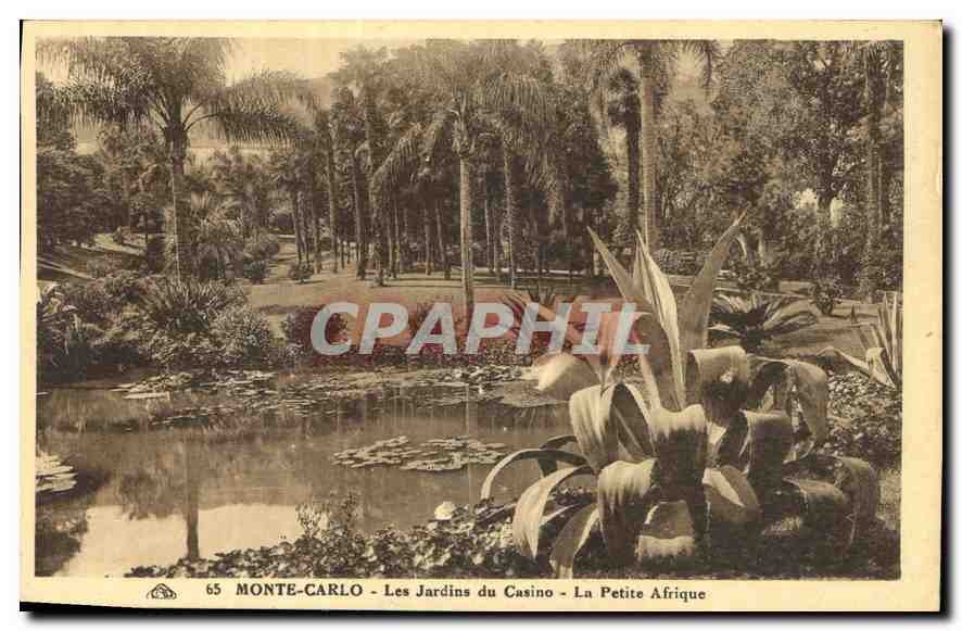 Monte-Carlo - Les Jardins du Casino - La Petite Afrique — C.° Altracienne des Arts Photographiques - Strasbourg
