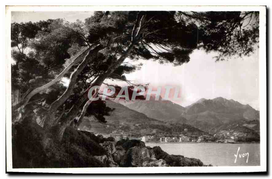 CPA Menton Alpes Mmes Le Massif des Alpes vu du Cap Martin 