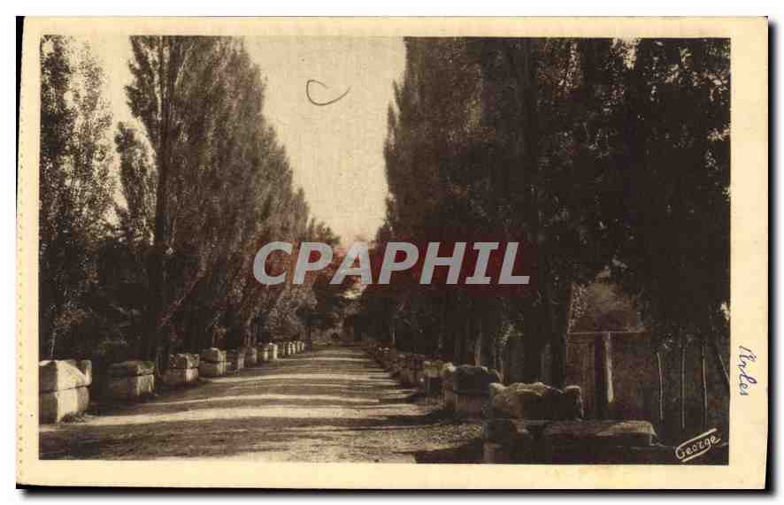 CPA Arles sur Phone Les Alyscamps Allee des Tombeaux 