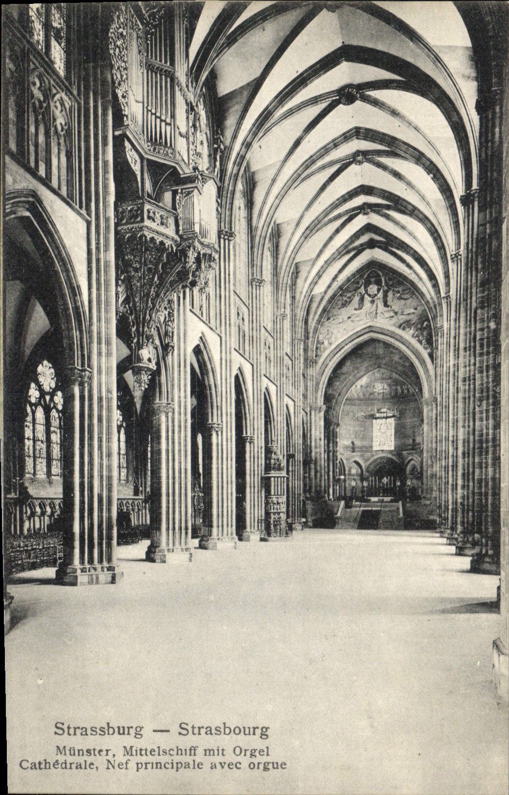 CPA Strasbourg Cathedrale Nef principale avec orgue 