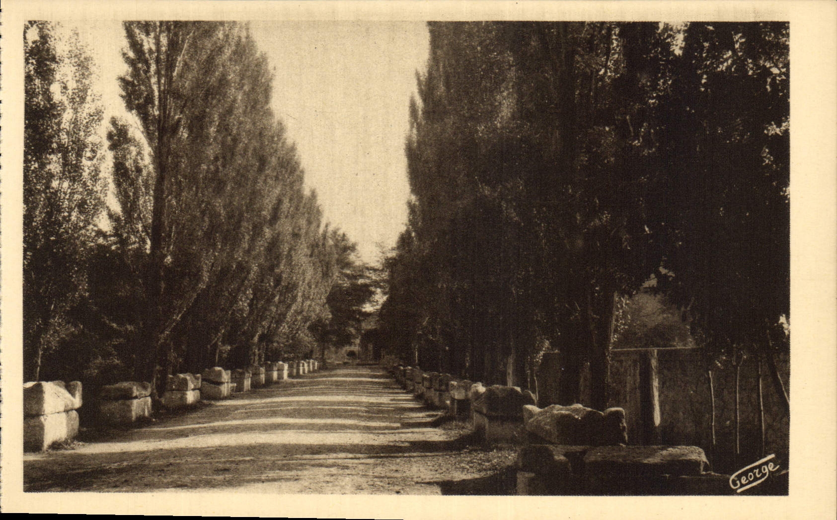 Les Alyscamps - Allée des Tombeaux — Arles-sur-Rhône — Éditeur J. George