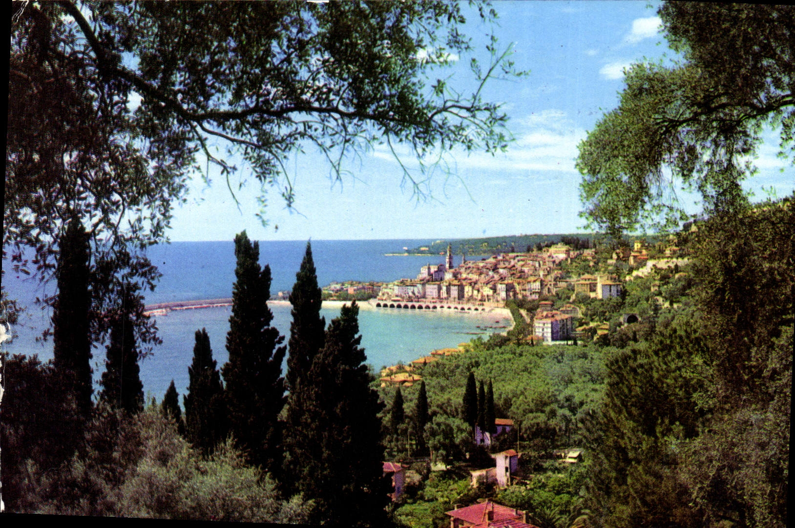 Vue générale de Menton — travers les oliviers — édition Offretcolor