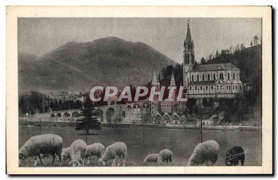 CPA Lourdes La Basilique et le Pic du Jer 
