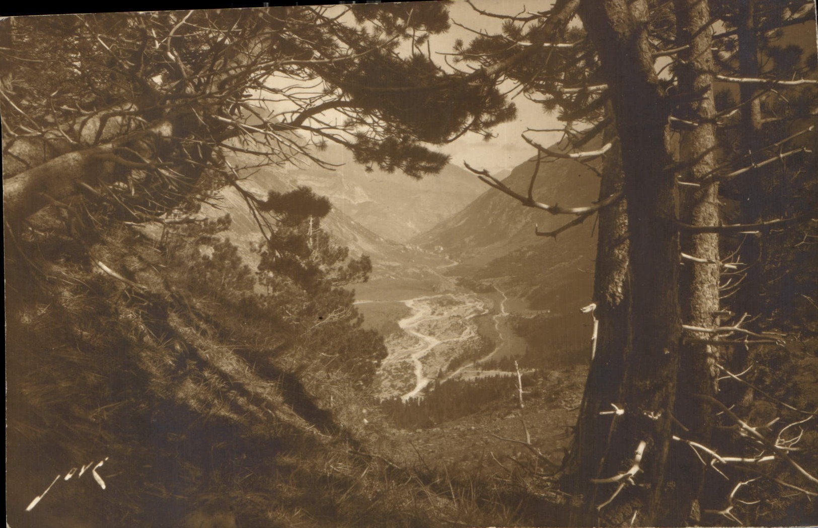 CPA Pyrenees la Vallee du Gave et generale vue du Cirque 
