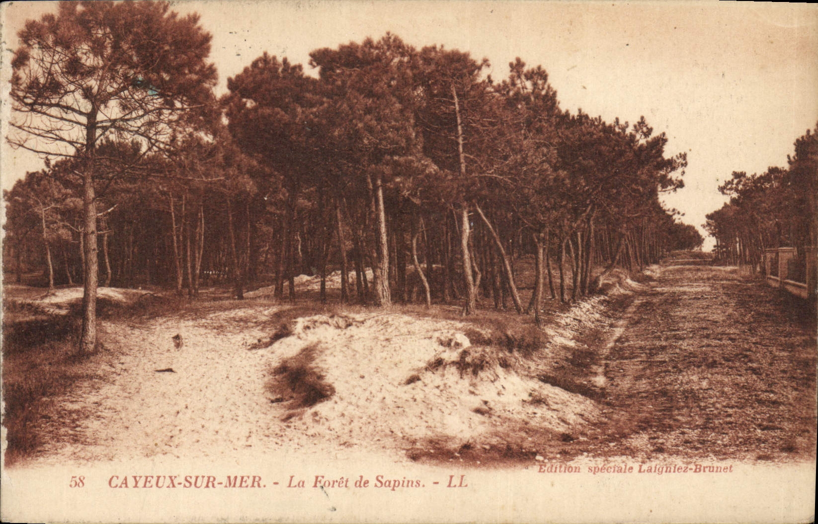 CAYEUX-SUR-MER — La Forêt de Sapins — Édition spéciale Laighiez-Brunet