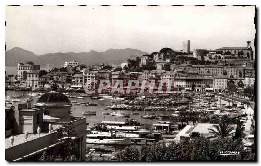 CPM Cannes A M le Port et le Suquet au l'Esterel Bateaux