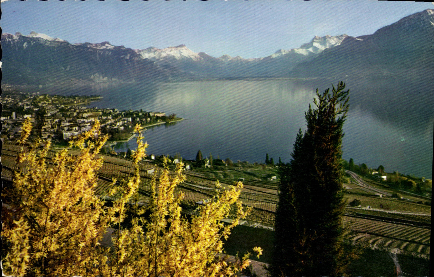 CPA Vevey vue generale et les Dents du Midi 