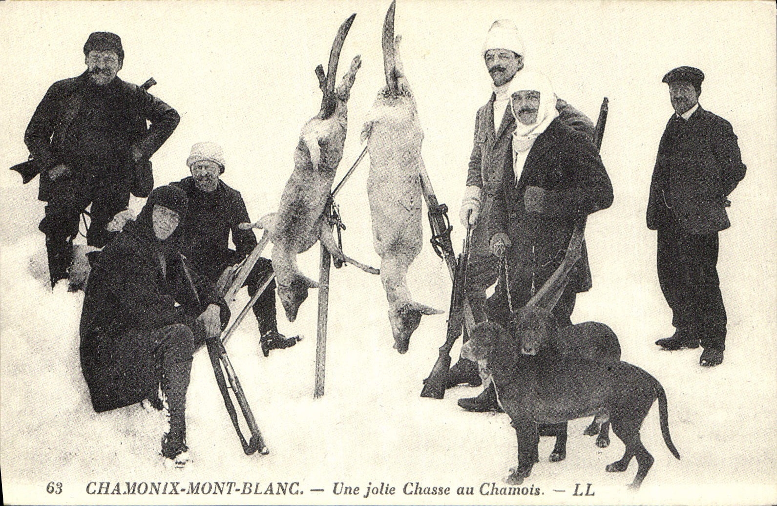 Chamonix-Mont-Blanc — Eine schöne Schneehasenjagd — LL