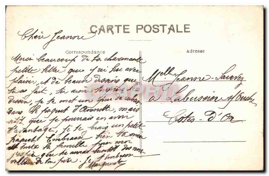 CPA Paysages du Mont Pilat Un joli sous bois  — Verso