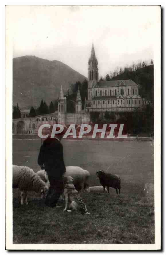 CPA Lourdes La Basilique 