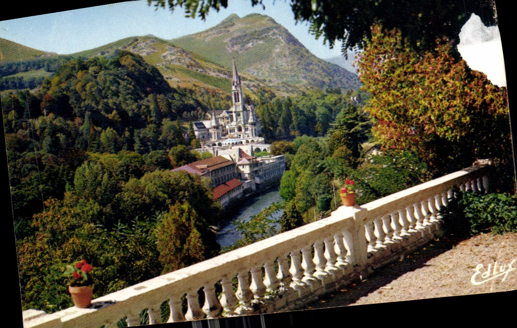 CPA Lourdes la Basilique et le Gave 