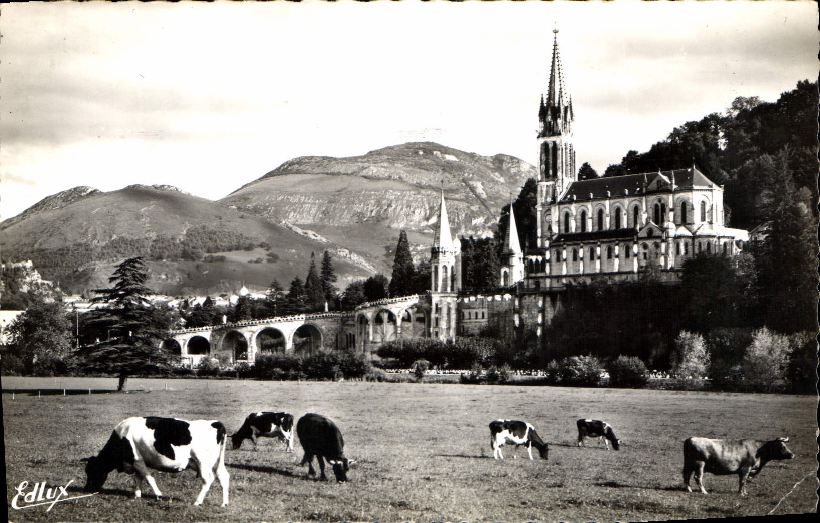 CPA Lourdes la Basilique et le Pic du Jer 