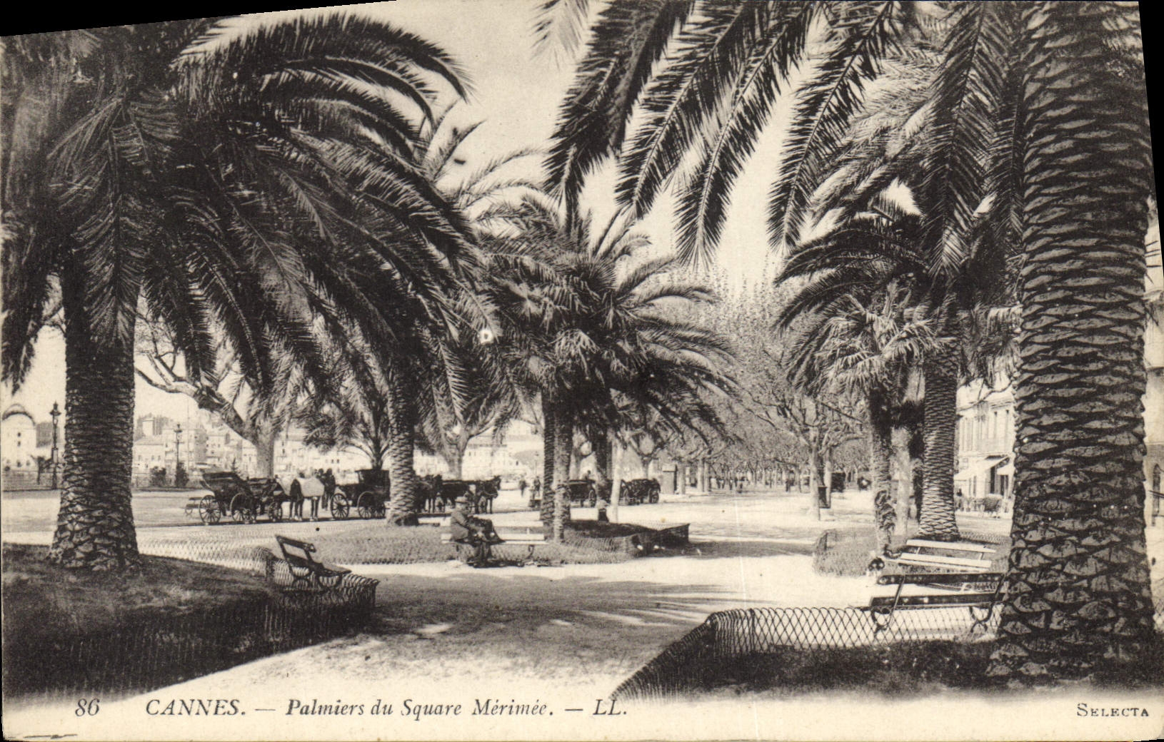CANNES — Palmiers du Square Mérimée — LL. — Selecta